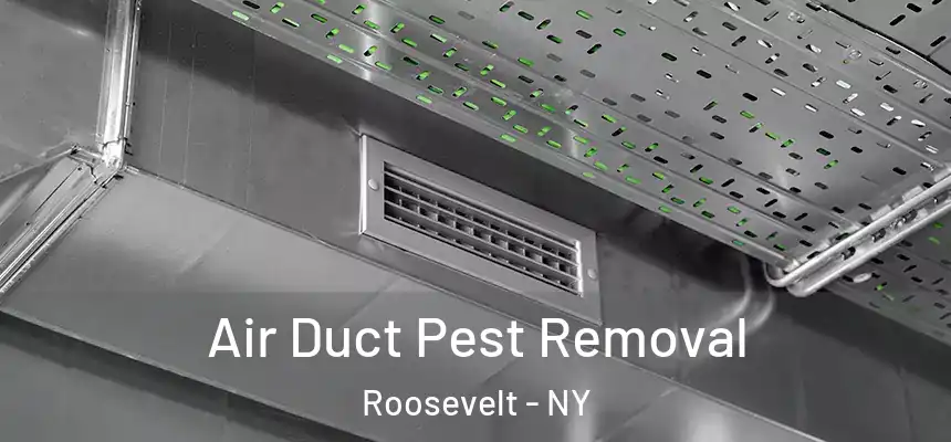  Air Duct Pest Removal Roosevelt - NY