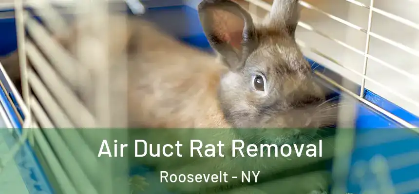  Air Duct Rat Removal Roosevelt - NY
