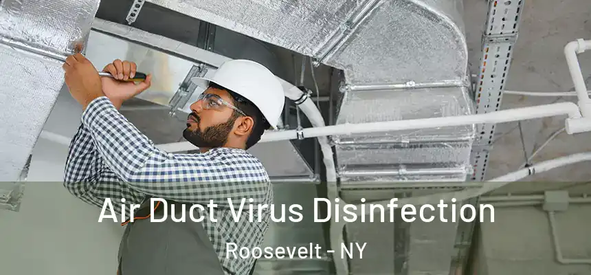  Air Duct Virus Disinfection Roosevelt - NY