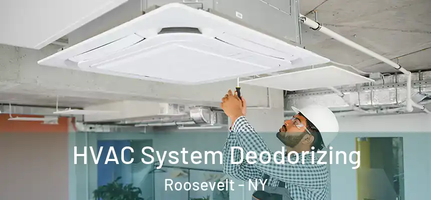  HVAC System Deodorizing Roosevelt - NY
