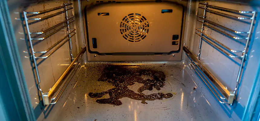 Our Dryer Vent Mold Cleaning Services in Roosevelt, NY