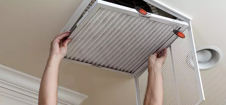 Our Insect Removal from Air Ducts Services in Roosevelt, NY