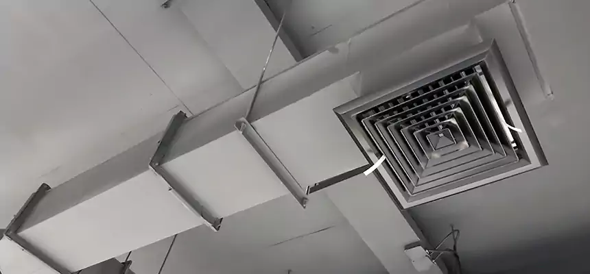 Our Rodent Droppings In Vents Services in Roosevelt, NY