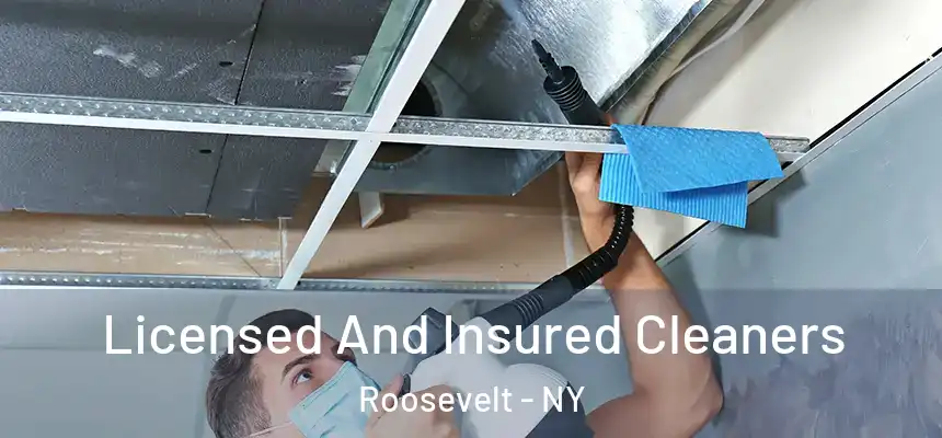  Licensed And Insured Cleaners Roosevelt - NY