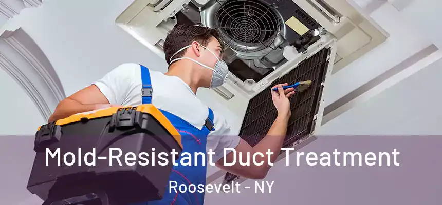  Mold-Resistant Duct Treatment Roosevelt - NY