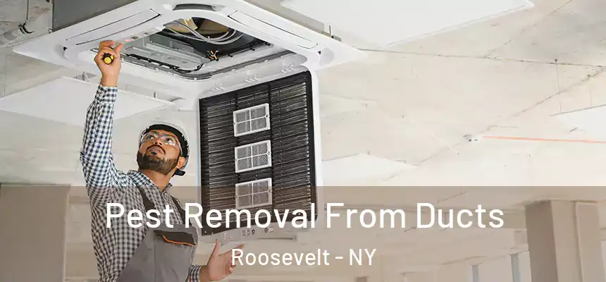  Pest Removal From Ducts Roosevelt - NY