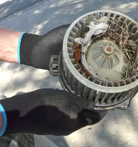 About Air Duct Rat Removal in Roosevelt, NY