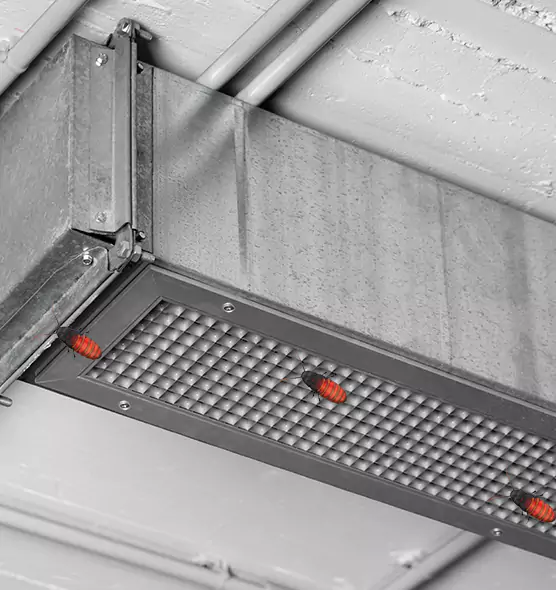 Affordable Insect Removal from Air Ducts in Roosevelt, NY