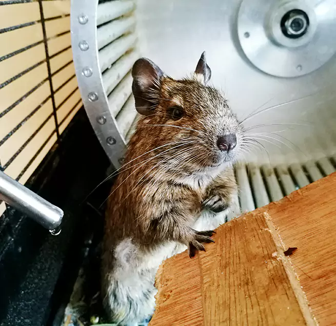 Why Homeowners & Businesses Trust Us Roosevelt, NY