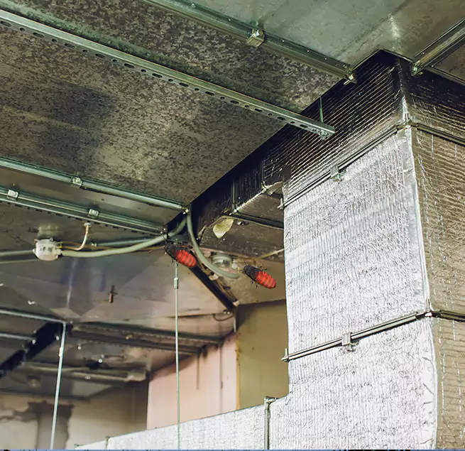 Why Homeowners & Businesses Trust Us Roosevelt, NY?